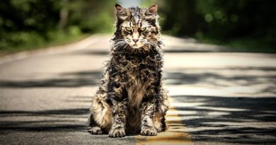 Pet Sematary