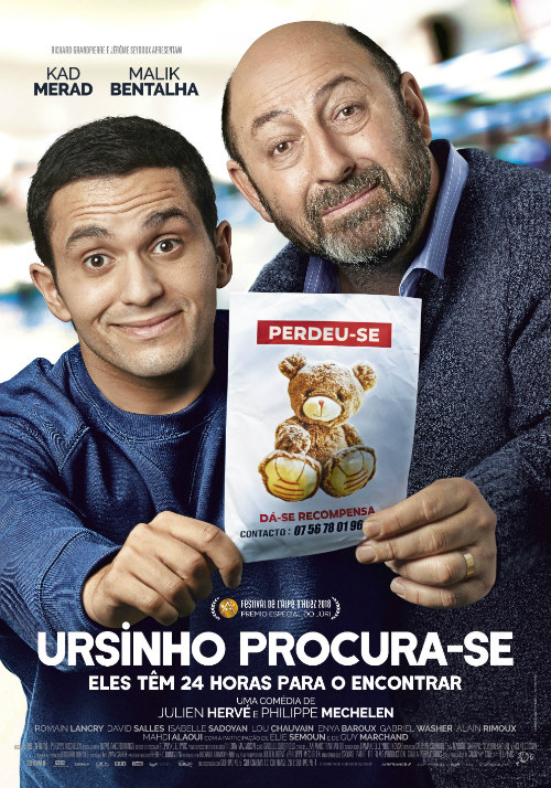 Ursinho Procura-se