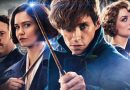 Harry Potter Top