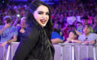 paige wwe fighting with my family