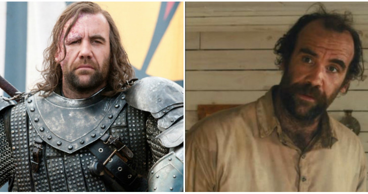 Rory McCann game of thrones