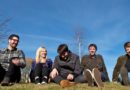 Silverbacks - Just In The Band