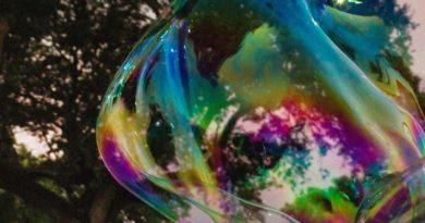 Salto - concerto Lux Frágil (crédito a Marta Olive)