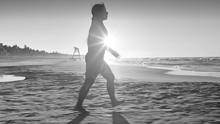 roma alfonso cuaron asc diretores de fotografia