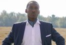 Green Book: Um Guia para a Vida