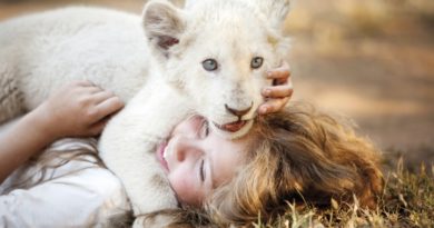 Mia e o Leão Branco