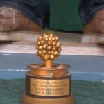 razzie awards