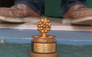razzie awards