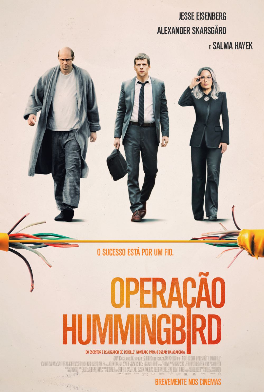 Operação Hummingbird