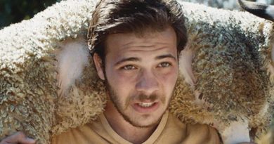 dead horse nebula critica rotterdam oscares