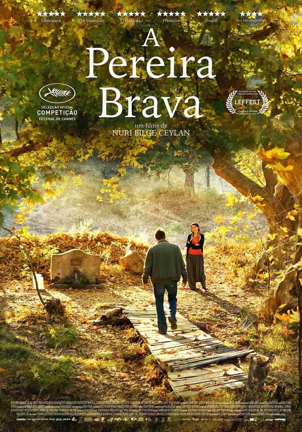 A Pereira Brava