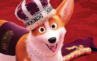 Cai na Real Corgi