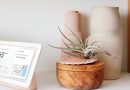 Google Home