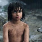 O Livro da Selva