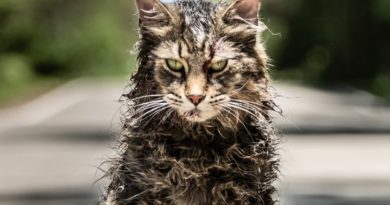 Samitério de Animais