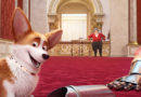 Cai na Real, Corgi