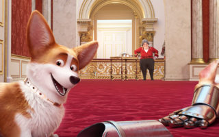 Cai na Real, Corgi