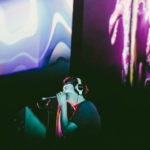 Panda Bear