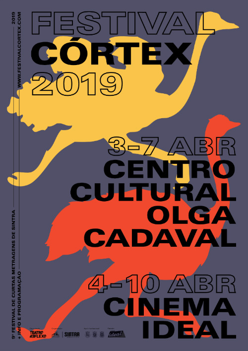Festival Cortéx