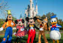 walt disney world