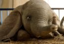 Dumbo