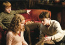 harry potter fox