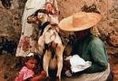 indielisboa de los nombres de las cabras critica