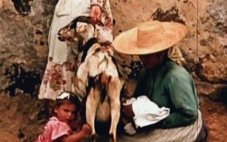 indielisboa de los nombres de las cabras critica