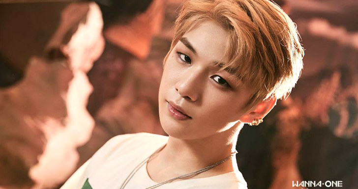 kang daniel wanna one