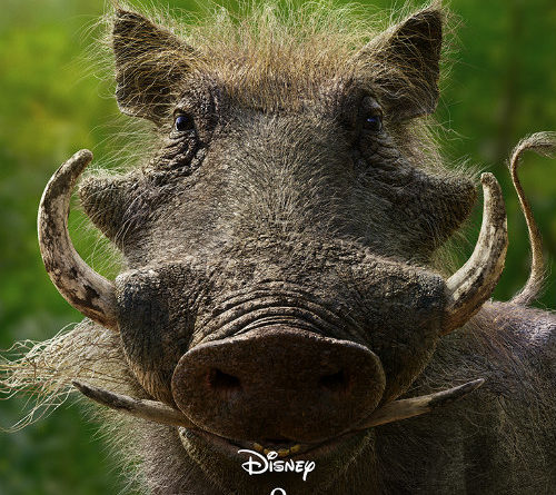 the lion king pumba