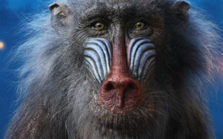 the lion king rafiki