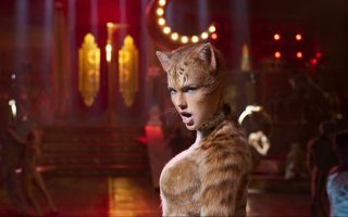Cats