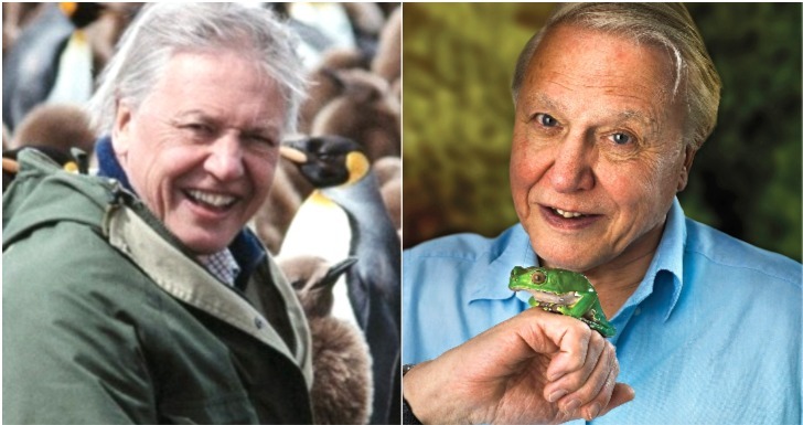 David Attenborough celebridades