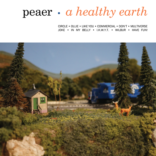 Capa de A Healthy Earth