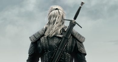 the witcher