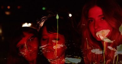 Vivian Girls - Sick - Memory