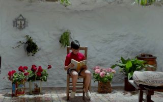 Dor e Glória