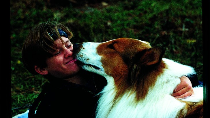 Lassie