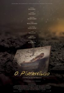 O Pintassilgo