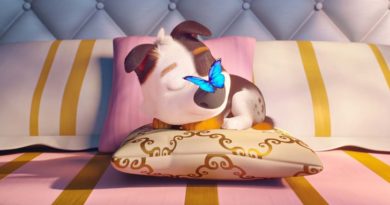 Trouble – Aventura na Cidade