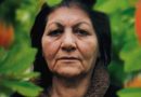 when the persimmons grew critica doclisboa