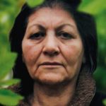 when the persimmons grew critica doclisboa