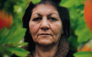 when the persimmons grew critica doclisboa