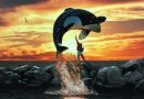 Dia Mundial do Animal | canais axn 2023