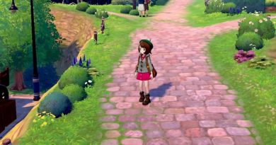 Pokémon Sword Pokémon Shield Moche XL Games World