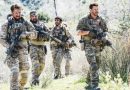 seal team fox