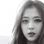 sulli f(x)