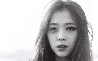 sulli f(x)