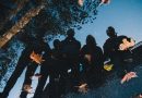 Silverbacks-"Sirens"