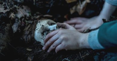 The Boy: A Maldição de Brahms